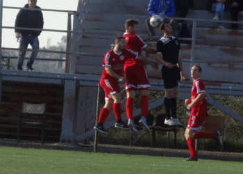 Αλέξης Πάγκαλης: Ο… Αστέρας που οδήγησε τον Πετριτή στα Ημιτελικά!