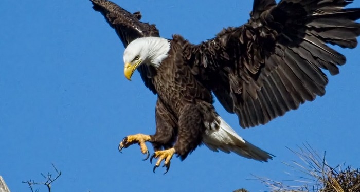 Οι Αετοί αγναντεύουν περήφανα από πολύ ψηλά!