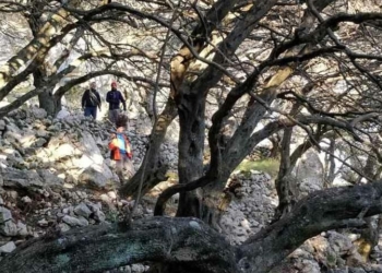Μέχρι αύριο Σάββατο οι δηλώσεις συμμετοχής για το Corfu Mountain Trail