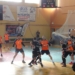 Επιλαχών για την Premier Handball ο Φαίακας!
