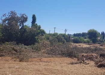 Σε εξέλιξη οι εργασίες για το νέο Αθλητικό Κέντρο (ΦΩΤΟΡΕΠΟΡΤΑΖ)