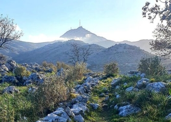 Ακυρώθηκε ο αγώνας του  Κάσσιου Δία