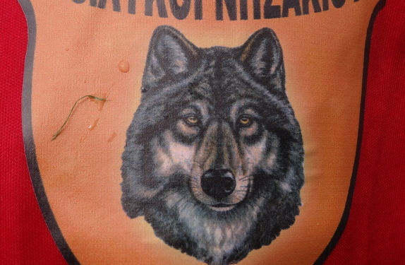 Προς «ευθανασία» οι Λύκοι!