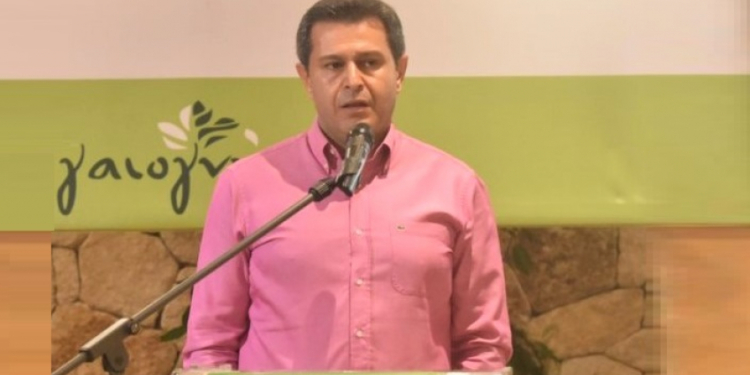 Σαρηγιαννίδης: «Οι Ενώσεις που είχαν ήδη προκηρύξει εκλογές όφειλαν να τις διεξάγουν μέχρι την 30-06»