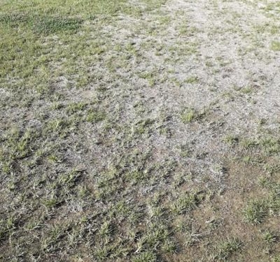 Σε άθλια κατάσταση το γήπεδο του Εθνικού Σταδίου Κέρκυρας!