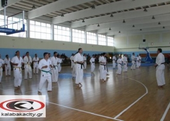 Ανεπανάληπτη επιτυχία το σεμινάριο καράτε