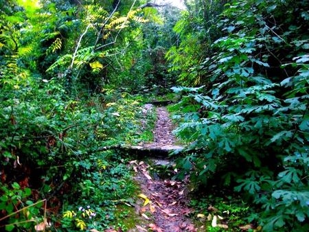 Ενημέρωση και κάλεσμα για το “CORFUMOUNTAIN TRAIL”