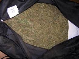 Καλλιεργούσε χασίς στο σπίτι του!!!