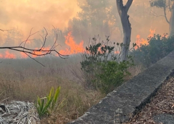Μεγάλη φωτιά σε εξέλιξη- Εκκενώθηκε ο οικισμός Βασιλικά