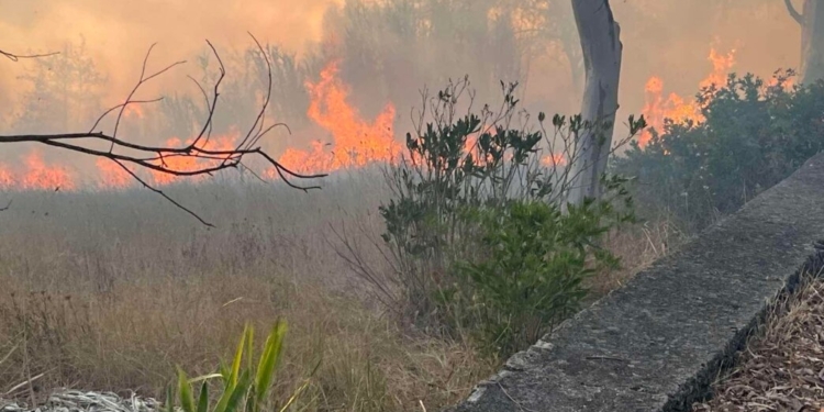 Μεγάλη φωτιά σε εξέλιξη- Εκκενώθηκε ο οικισμός Βασιλικά