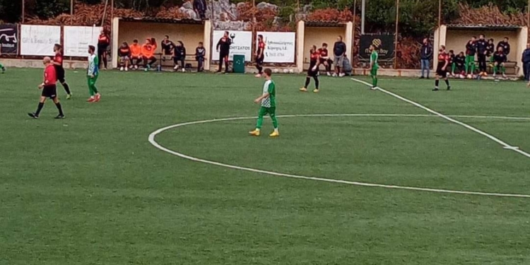 αναγεννηση περιβολιου