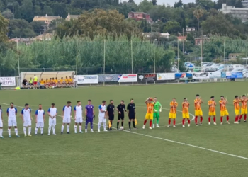 πετριτης αρτακη