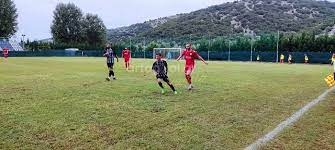 αρτα λευκιμμη