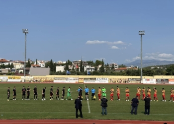 αρτακη λευκιμμη