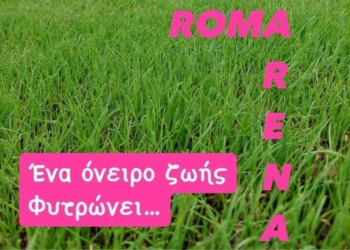 ΓΗΠΕΔΟ ΡΟΜΑ