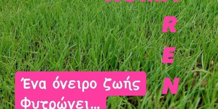 ΓΗΠΕΔΟ ΡΟΜΑ