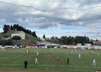 λευκιμμη αρτακη
