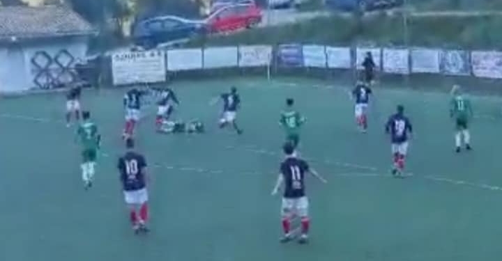 αναγεννηση νυμφες