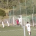αναγεννηση σφακιανακης