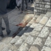 Τα νεότερα για την αιματηρή συμπλοκή στο Σαρόκο