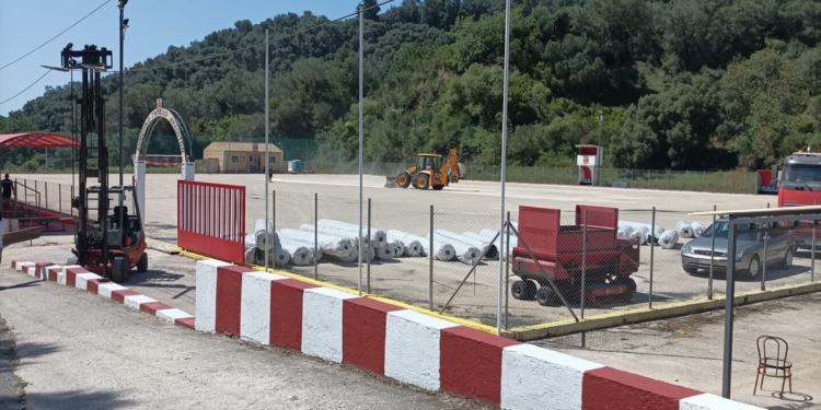 χλοοταπητας αυλιωτες