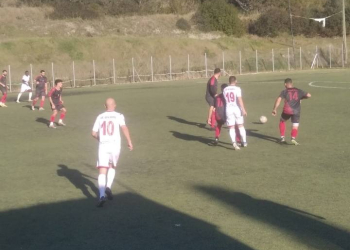 λευκιμη περιβολι