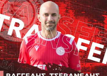 ΤΣΕΒΑΝΕΔΗΣ ΛΕΥΚΙΜΜΗ