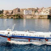 ΔΕΛΦΙΝΙ