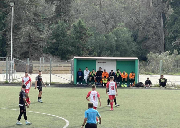 περιβολι θιναλι