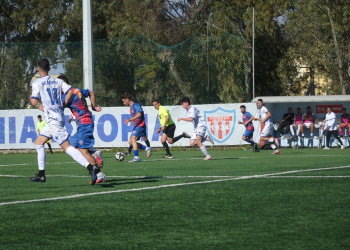 ΦΟΙΝΙΚΕΣ ΚΕΡΚΥΡΑ